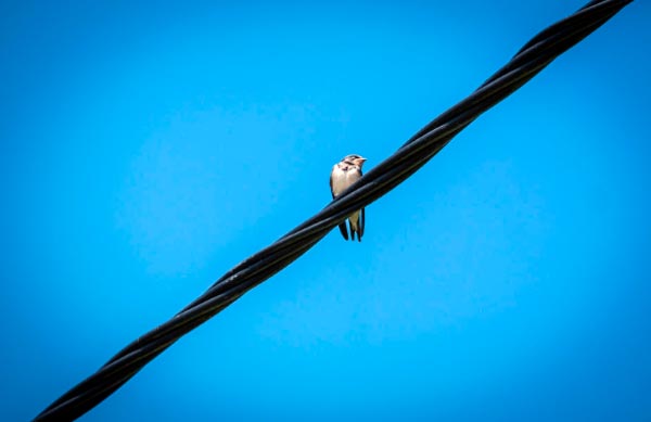 servicio eléctrico domiciliario